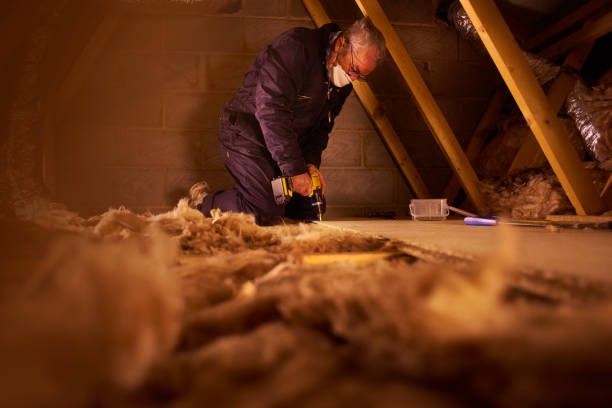 Best Geographic-Specific Insulation Services in Coarsegold, CA
